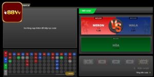 Luật Đá Gà Miền Bắc - Tổng Hợp Quy Định Mới Nhất 2025